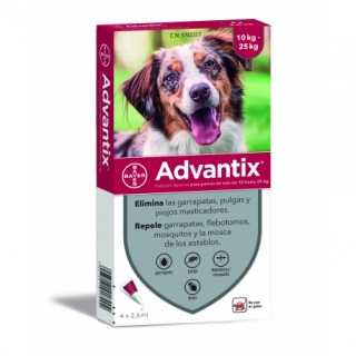 ADVANTIX 10-25 KG